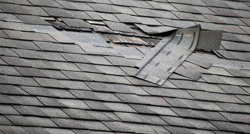 Roof Damage Repair Service in NJ